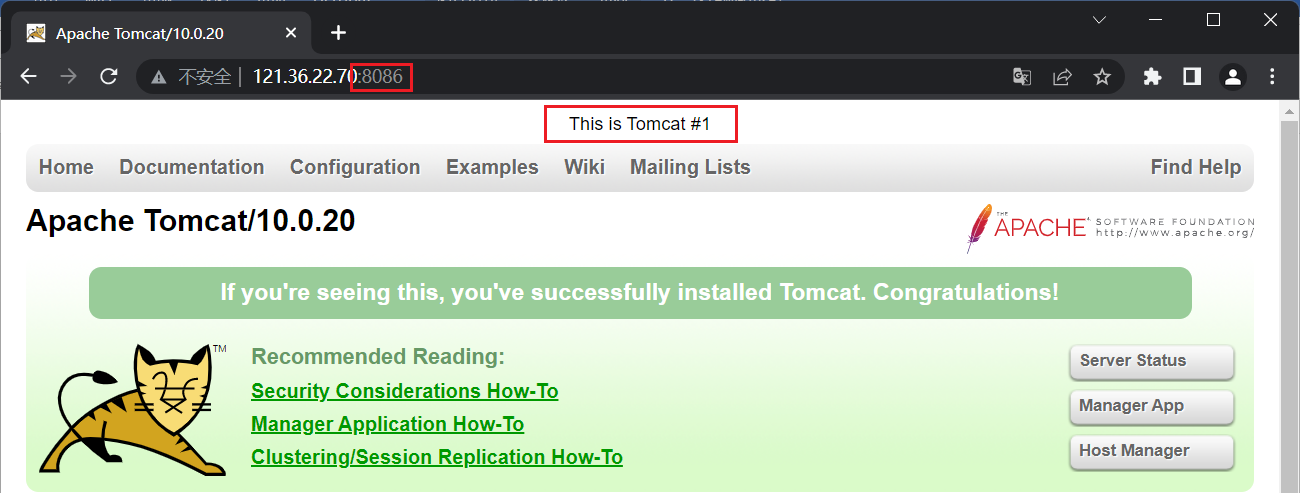 Tomcat#1