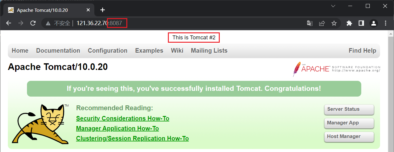 Tomcat#2