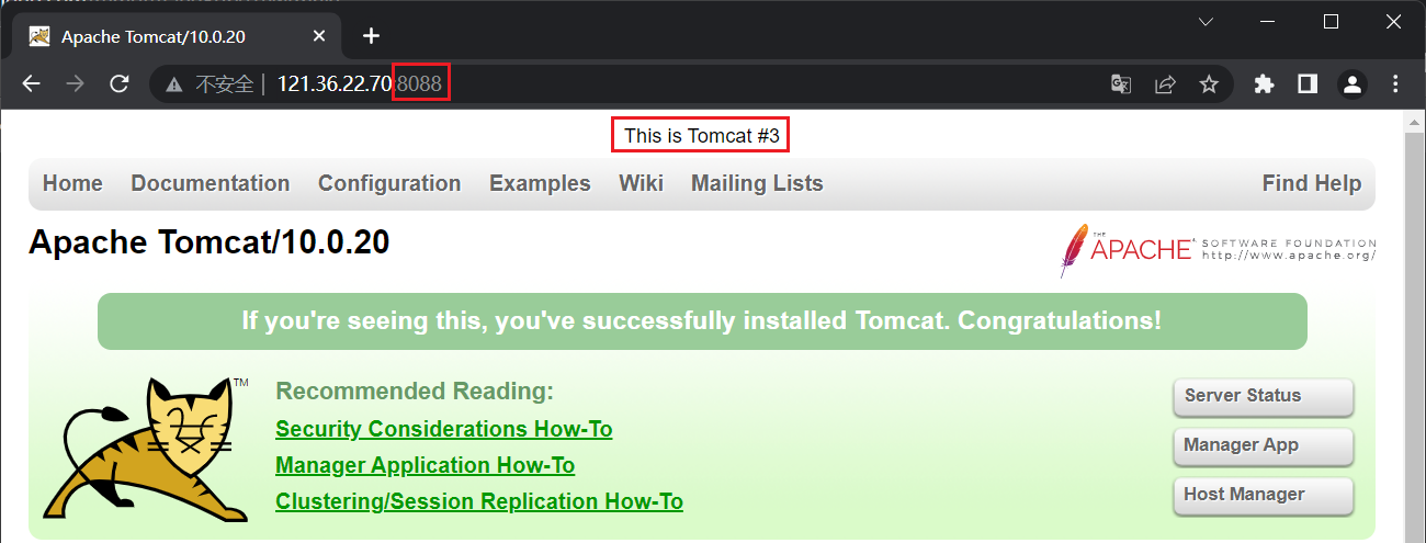 Tomcat#3